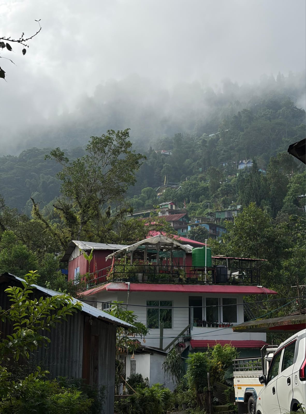 SiddhaStays homestay house among green trees